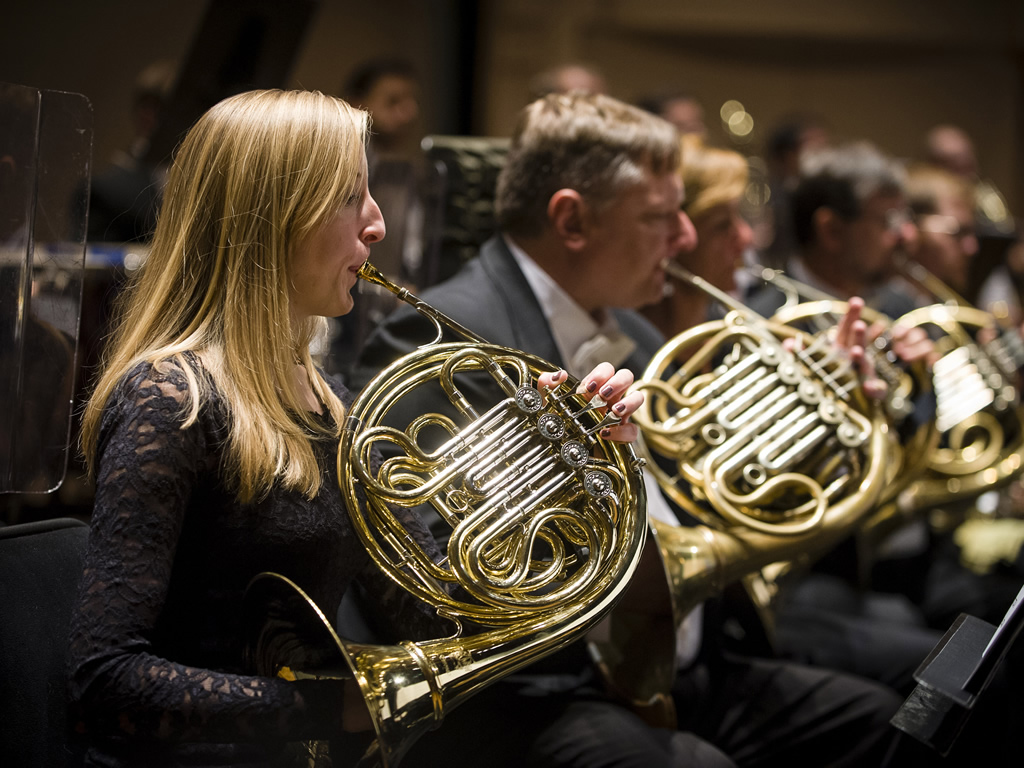 French Horn